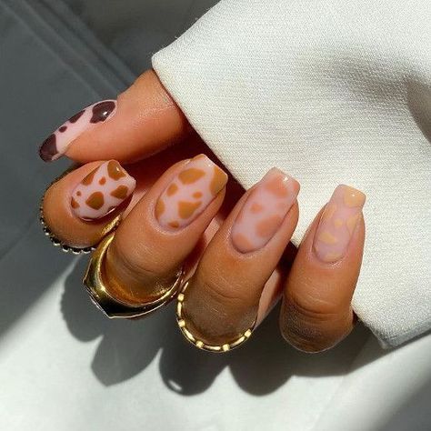 Cow Nail Designs, Rodeo Nails, Cow Print Nails, Fancy Nail Art, Animal Print Nails Art, Western Nails, Cow Nails, Nails Now, Print Nails