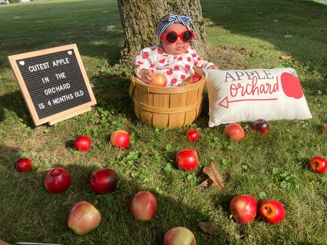 Apple Milestone Pictures, 6 Month Board Photo Ideas, 4 Month Milestone Pictures, Newborn Apple Photoshoot, Halloween 4 Month Old Pictures, Apple Picking Photoshoot Baby, September Milestone Pictures, 4 Month Old Photo Shoot Ideas At Home, Apple Orchard Photoshoot Baby