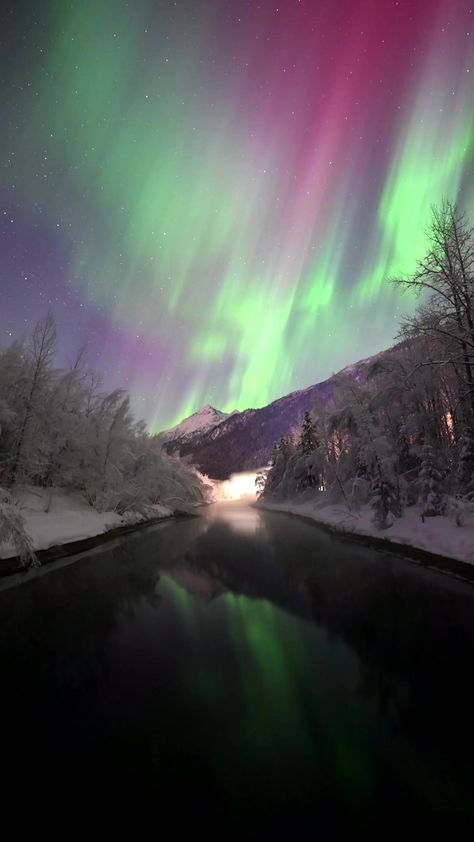 It’s amazing how the Northern Lights carry such energy, it goes from a still quite night to an eruption of color and intensity! ....#alaska #alaskalife #alaskaphotography #alaskaadventure #alaskaliving #adventurealaska #alaskaadventures #aurora #auroraborealis #northernlights #auroraboreal #aurorasboreales #northernlightsphotos #northernlight #northernlightsalaska #nightphotography #nightscape #astrophotography #nikonnofilter #nightskyphotography #alaskan #nightphotos #allaboutadventures #takem Alaska Northern Lights, Alaska Photography, Alaska Adventures, Night Sky Photography, 10k Views, The Northern Lights, Night Photos, Night Photography, Aurora Borealis