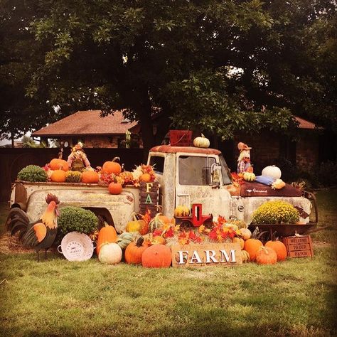 Pumpkin Patch Farm, Pumpkin Stands, Pumpkin Festival, Barn Parties, Fall Fest, Old Truck, Old Pickup, Pumpkin Farm, Autumn Display