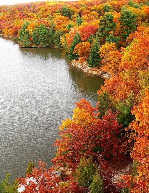 starved rock state park in the fall | Starved Rock: Fall colors at its best Autumn Breeze, Fall Things, Image Nature, Autumn Scenes, Colorful Trees, Autumn Scenery, Fall Travel, Autumn Beauty, Fall Pictures