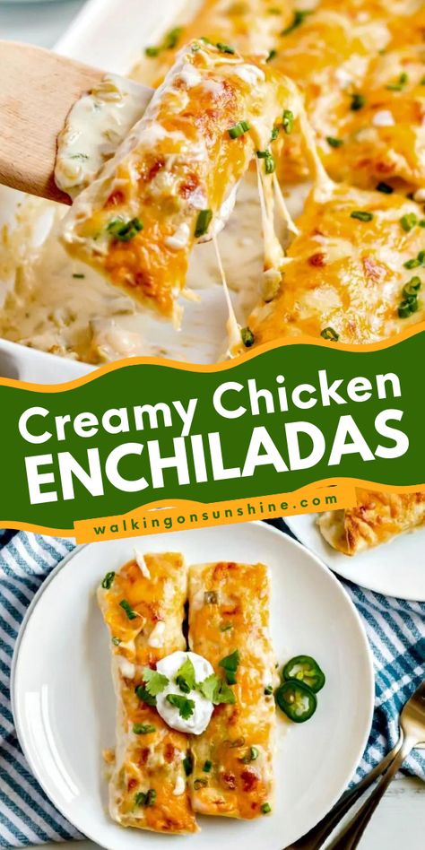 Have an amazing Cinco de Mayo dinner party with these easy chicken enchiladas! It's a quick and easy creamy chicken enchilada recipe that's delicious and so easy to make. Plus, it comes with freezing tips! Non Spicy Chicken Enchiladas, Enchiladas Chicken White Sauce, White Enchilada Recipe, Easy White Chicken Enchilada Recipe, Chicken Enchiladas Easy White Sauce, Creamy Cheesy Chicken Enchiladas, White Chicken Enchiladas Healthy, Chicken And Enchilada Sauce Recipes, 5 Ingredient Chicken Enchiladas