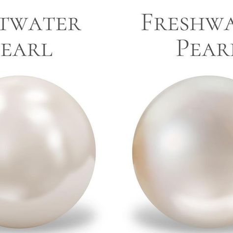 SALTWATER VS FRESHWATER PEARLS  According to the sources they come from, pearls, both natural and cultured, can be subdivided into saltwa... | Instagram South Pacific Islands, Saltwater Pearls, Pacific Islands, Mermaid Jewelry, French Polynesia, South Pacific, Aphrodite, Natural Pearls, Fresh Water