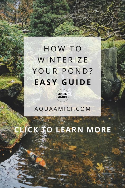 Pond Heater, Pond Netting, Fountain Ideas, Pond Aerator, Pond Maintenance, Backyard Pond, Pond Pumps, Duck Pond, Pond Plants