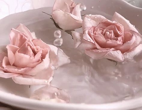 In Water, Roses, Gif, Water, Pink, White