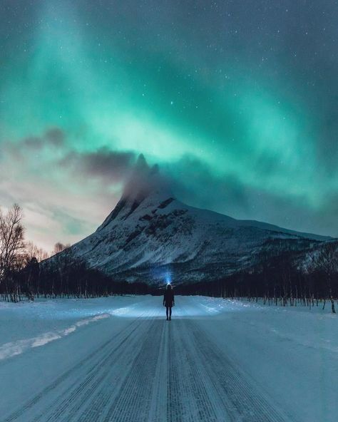 Norway People, Lofoten Islands Norway, Northern Lights Photography, Four Twenty, Lofoten Norway, Lights Photography, Northern Lights Norway, Lofoten Islands, Nature Music