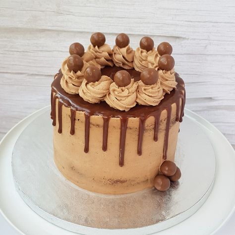 Fox And Lion, Uncle Ian, Chocolate Ganache Drip, Malteser Cake, Ganache Drip, Chocolate Cake Designs, Milk Chocolate Ganache, Chocolate Mud Cake, Pinata Cake