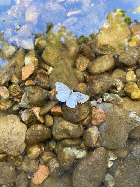 Pebble Aesthetic, Butterfly Core Aesthetic, Pebbles Aesthetic, River Aesthetic Summer, Hazel Core, Disney Characters Female, River Aesthetic, River Summer, Blue Banisters