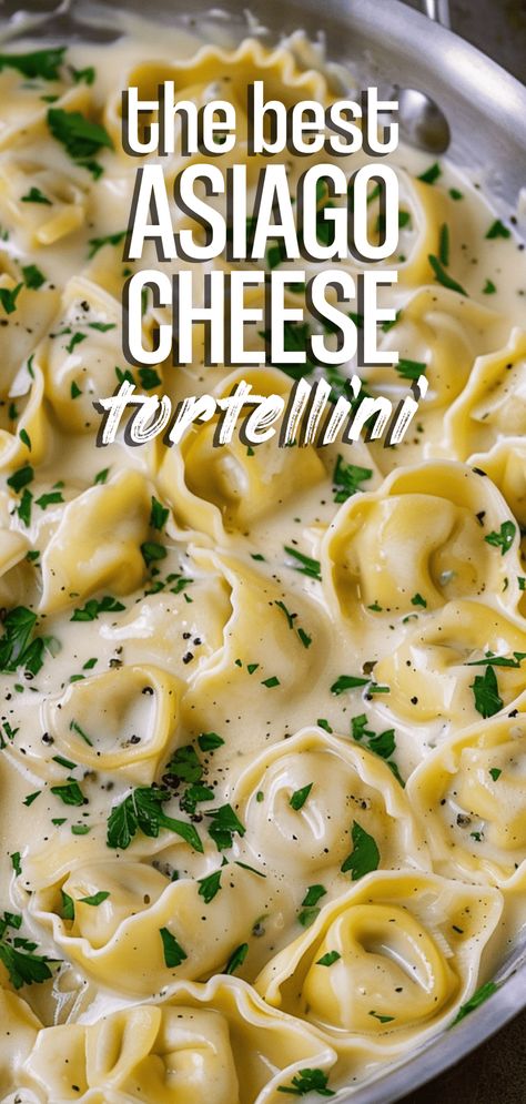 Creamy Asiago Cheese Tortellini [25 Minutes] – Chasety Asiago Cream Sauce Recipe, Chicken Tortellini Soup Crock Pot, Asiago Cream Sauce, Asiago Pasta, Gluten Free Tortellini, Asiago Cheese Recipes, Chicken Tortellini Soup, Tortellini Recipes, Filled Pasta