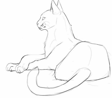 Cat Art Tutorials, Cat Base Drawing Sketch, Cat Base Reference, Cat Drawing Poses, Cat Tutorial Drawing, Cat Art Reference, Cat Base Drawing, Cat Poses Drawing Reference, Cat Perspective