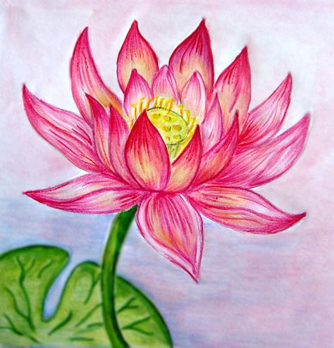 35 Beautiful Flower Drawings and Realistic Color Pencil Drawings | Read full article: http://webneel.com/flower-drawings | more http://webneel.com/drawings | Follow us www.pinterest.com/webneel Flower Drawing Tumblr, Realistic Flower Drawing, Hibiscus Flower Drawing, Lotus Flower Drawing, Lotus Drawing, Easy Flower Drawings, Pencil Drawings Of Flowers, Beautiful Flower Drawings, Pencil Drawing Tutorials