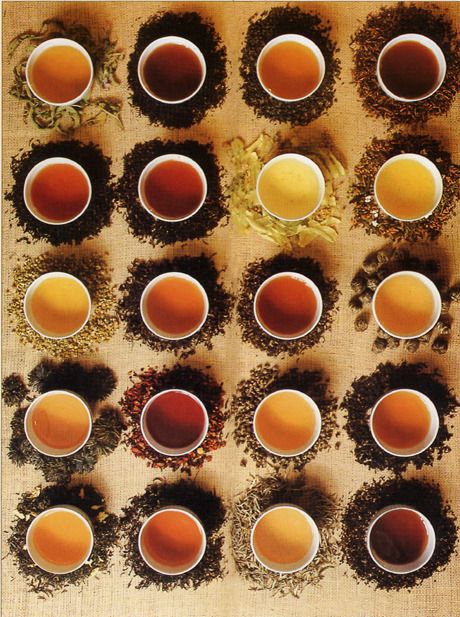 Tea typology Types Of Teas, Pineapple Health Benefits, Tea Photography, Different Types Of Tea, Pu Erh, Art Of Tea, Tea Love, Cuppa Tea, Tea Culture