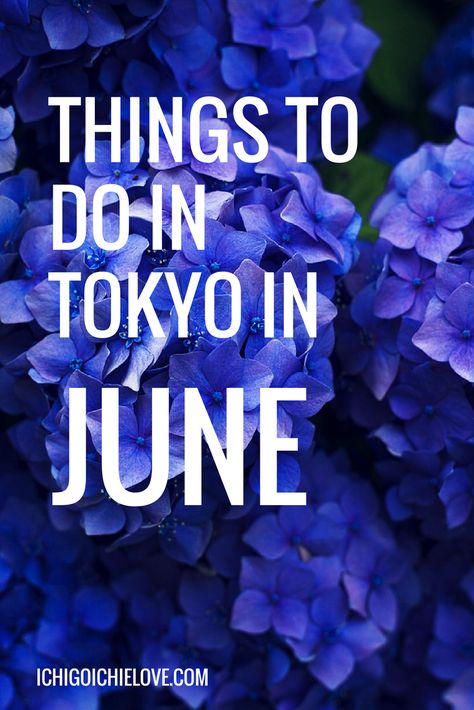 Japan In June, Japan Packing List, Japan Beach, Tokyo Trip, Japan Travel Destinations, Japan Bucket List, Tokyo Japan Travel, Japanese Travel, Japan Travel Tips