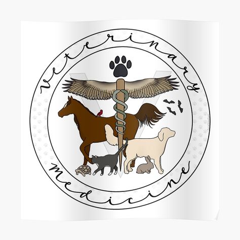 "Veterinary Medicine Caduceus (Cursive)" Sticker for Sale by Hanna M | Redbubble Dvm Veterinary Medicine Wallpaper, Veterinarian Logo, Veterinary Medicine Symbol, Vet Technician, Medicine Logo, Large Animal Vet, Med Vet, Veterinary Surgeon, Veterinary Assistant