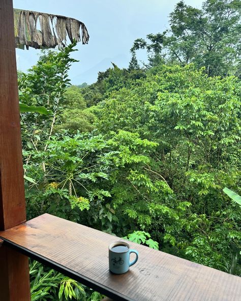 Jungle coffee shop >> 📍Sloffee Coffee in Fortuna, Costa Rica 🌴✨ If you’re in the area, you have to check it out! @sloffeecr #CostaRicaAdventures #CoffeeLovers #CostaRica #FortunaCostaRica #SloffeeCoffee #CoffeeShop #HiddenGem #JungleCafe #TravelCostaRica #CoffeeTime #NatureLovers #TropicalGetaway #CoffeeCulture #Wanderlust #ExploreTheWorld #TravelGoals #TravelInspiration #TravelVibes #AdventureAwaits #TravelDiaries #TravelAddict #TropicalParadise #CaffeineFix #TravelExperiences #BucketLis... Costa Rica Coffee, Costa Rica Adventures, Fortuna Costa Rica, Tropical Escape, Costa Rica Travel, Coffee Culture, Tropical Getaways, Vacation Mode, 2024 Vision