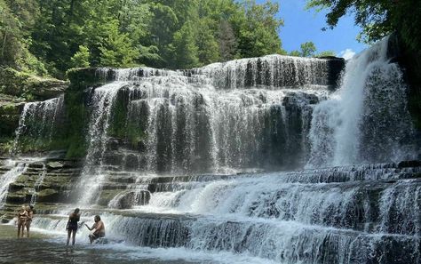 Hike Less Than A Mile To Cummins Falls Swimming Hole In Tennessee Cummins Falls Tennessee, Cummins Falls, Cummins Falls State Park, Waterfall Swimming, Tennessee Attractions, Tennessee Waterfalls, Southern Road Trips, Tennessee Road Trip, A Short Hike