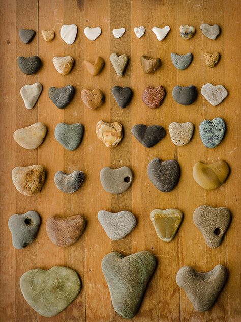 Heart Stones or Rocks Heart Stones, Deco Marine, Heart Shaped Rocks, Heart In Nature, Rock Hunting, Hag Stones, I Love Heart, Love Rocks, Stone Crafts