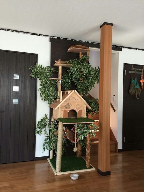 Cat Jungle Gym, Kat Diy, Cat Tree House, Diy Cat Tree, Cat House Diy, Cats Diy Projects, Cat Playground, Homemade Cat, Ideal Toys