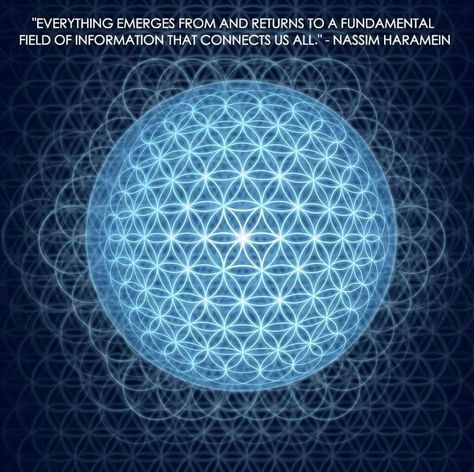 "Everything emerges from and returns to a fundamental field of information that connects us all." – Nassim Haramein The Resonance Project • The connected universe • Drunvalo Melchizedek, Awakening Art, Mystical Symbols, Yoga Studio Design, The Flower Of Life, Platonic Solid, Spirit Science, Workshop Design, Flower Of Life