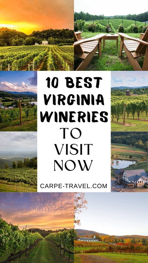 Come explore the beautiful and diverse wineries of Virginia. Virginia has some of the most beautiful vineyards and wineries for any wine lover to visit. Explore true Virginia wines and wineries with the help of this wine travel guide. Virginia Wineries Map, Fun Trips, Virginia Wine Country, Wine Country Travel, Virginia Wineries, Paradise Travel, Travel Bucket List Usa, Drinking Wine, Wine Travel