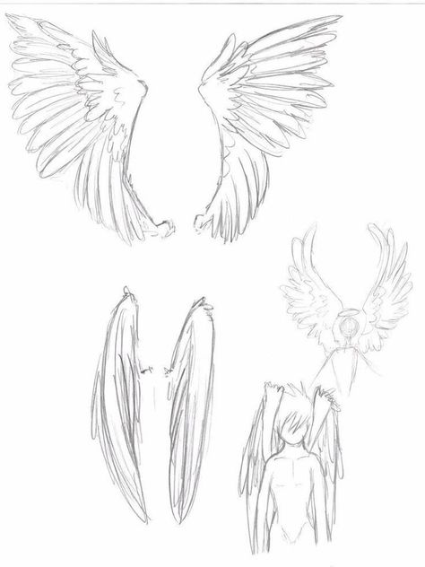 Poses With Wings, Anime Wings, Wings Sketch, Angel Wings Drawing, Illustration Manga, Wings Drawing, Wings Art, Drawing Stuff, Figure Drawing Reference