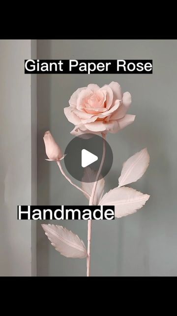 Liquor Decoration Design on Instagram: "Let's make giant rose by paper！ #🌹 #tutorial #floral #flowers #rose #paperflower #paperroses" Giant Paper Flower Tutorial, Paper Roses Diy, Giant Paper Roses, Crepe Paper Roses, Giant Roses, Rose Tutorial, Giant Flowers, Rose Bush, Giant Paper Flowers