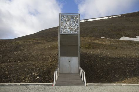 What Is A Survival Seed Vault – Information On Survival Seed Storage Seed Vault, Seed Storage, Storage Tips, Food Source, Vaulting, Seeds, Plants