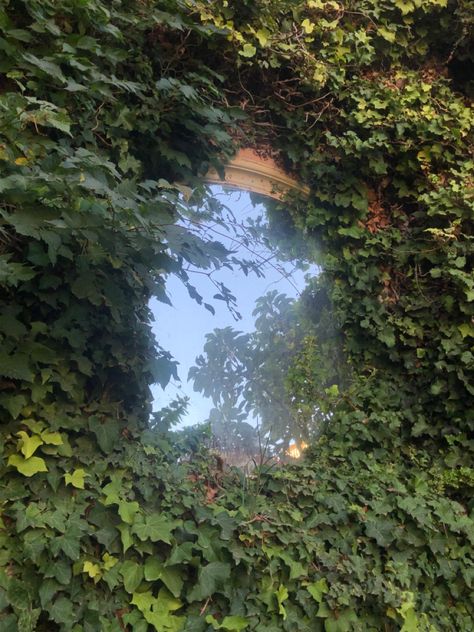 Mirror hanged in a wall with grass growing all around it Mirror In Nature, Mirror In Forest, Ruin Aesthetic, Hozier Vibes, Mirror Portal, Plant Mirror, Mirror Tree, Mirror Outside, Grass Growing