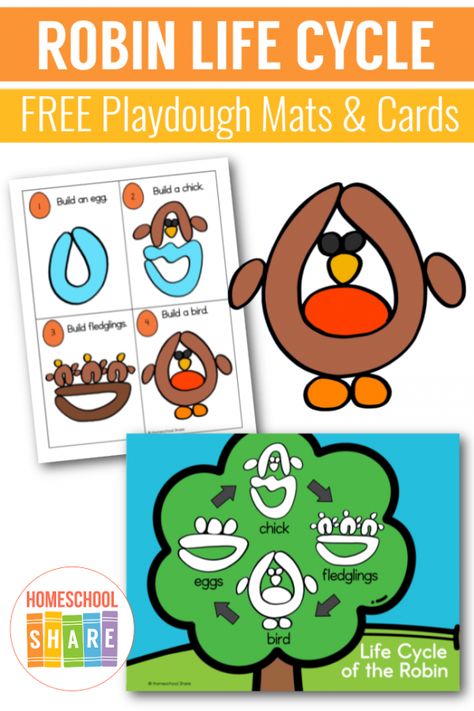 Preschool Life Cycle Activities, Bird Themed Activities, Bird Activities For Kids, Playdough Printables, Bird Life Cycle, Bird Activities, Weather Activities Preschool, Playdoh Mats, Daycare Curriculum