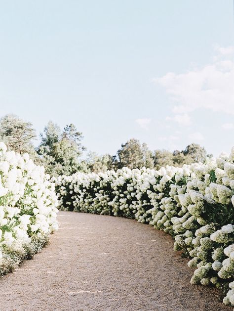 Garden Area, Wine Country Wedding, Dream Garden, Green Thumb, Pretty Flowers, Garden Inspiration, Secret Garden, Beautiful Gardens, A Garden