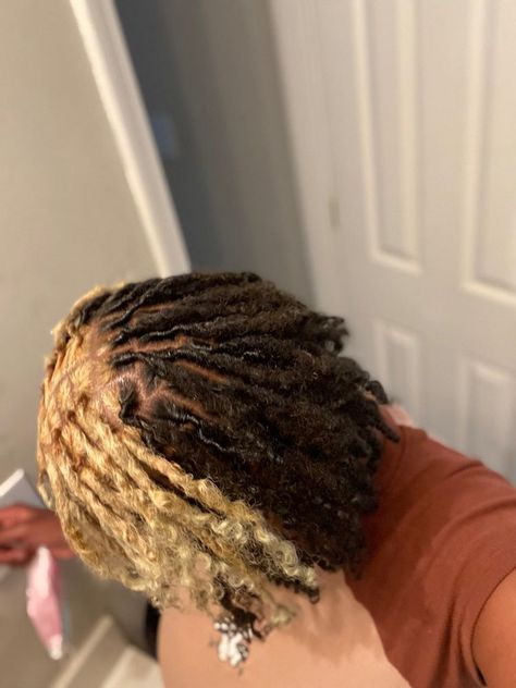 Different Skunk Stripes Hair, Skunk Hair Dye On Locs, Cute Dread Colors, Dyed Locs Styles, Skunk Stripe Twist, Invisible Locs Skunk Stripe, Skunk Hair Dreads, Half Dyed Locs Black And Ginger, Brown Skunk Stripe Braids