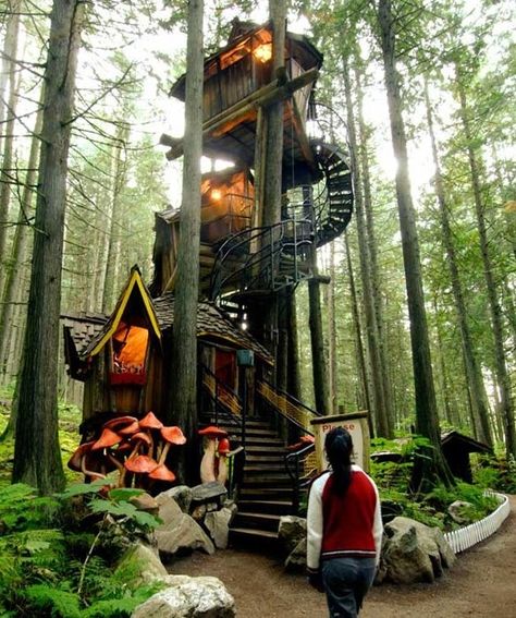 fantasy dwellings | Awesome tree house | Dwellings,unique,mystical and fantasy Cool Tree Houses, Tree House Designs, Have Inspiration, Enchanted Forest, Play Houses, In The Woods, My Dream Home, Future House, British Columbia