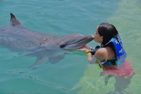 Dolphins aesthetic 
Swimming with dolphins 
Animal lover 
Summer 21 Dolphins Aesthetic, Dolphin Trainer, Swimming With Dolphins, Family Swimming, Mexico Cruise, France Aesthetic, Vision Board Pictures, Vision Board Manifestation, Lights Camera Action