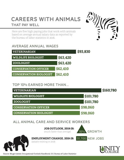 Animal Jobs Career, Careers With Animals, Animal Career Aesthetic, Animal Management Aesthetic, Wildlife Rehabilitation Career, Animal Science Aesthetic, Zoology Project Ideas, Zoology Degree, Wildlife Biologist Aesthetic