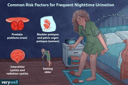 Causes of Frequent Urination at Night Bladder Prolapse, Pelvic Organ Prolapse, Progesterone Levels, Cold Medicine, Frequent Urination, Restless Leg Syndrome, Harvard Medical School, Pelvic Pain, Medical Conditions