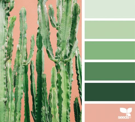 Cacti Color | design seeds | Bloglovin’ Design Seeds Color Palette, Seeds Color Palette, Room Palette, Seeds Color, Wedding Color Pallet, 7 Design, Green Colour Palette, Color Image, Bedroom Color Schemes