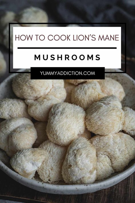 How to Cook Lion's Mane Mushrooms Lions Mane Mushroom Recipe, Vegetarian Mushroom Recipes, Substitute For Meat, Vegetarian Steak, Easy Mushroom Recipes, Mushroom Recipes Vegan, Mushroom Recipes Healthy, Mushroom Benefits, Lions Mane