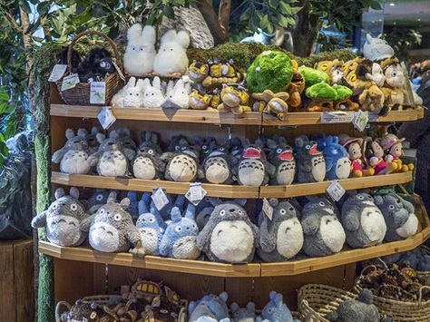 Donguri Kyowakoku, the store with nothing but Studio Ghibli anime ... Studio Ghibli Store Japan, Ghibli Store Japan, Ghibli Merchandise, Studio Ghibli Japan, Studio Ghibli Merchandise, Ghibli Store, Studio Ghibli Stuff, Japan Toys, Studio Ghibli Store