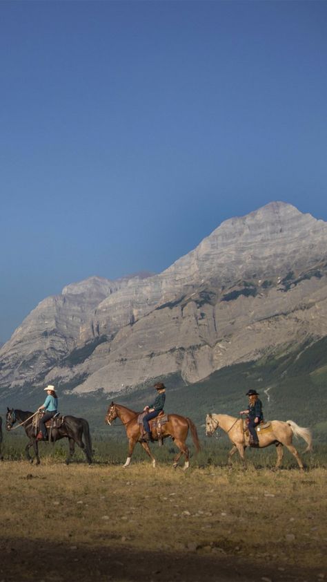 Horseback Riding Trails, Horse And Human, Equestrian Lifestyle, Trail Riding, Western Cowboy, Horse Girl, Wild West, Horseback Riding, Rocky Mountains