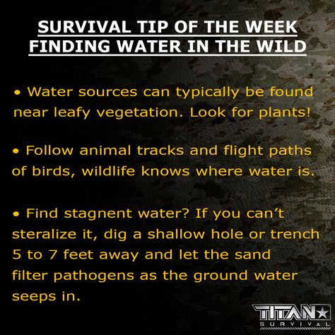 Survival Tip of the Week: Finding Water in the Wild! Here are some quick tips and tricks to fit your survival needs. We hope everyone is having a great weekend! #titansurvival #titan #survival #outdoors #survivalgear #camping #hiking #preparedness #bushcraft #shtf #howtosurvive #instagood #explore #survivaltip #survivaltips #howto #tipoftheweek #weeklytips #survivaltips #vegetation #waterinthewild #water Wild Waters, Surviving In The Wild, Animal Tracks, Water Sources, Survival Tips, Camping Hiking, Survival Gear, In The Wild, Survival Skills