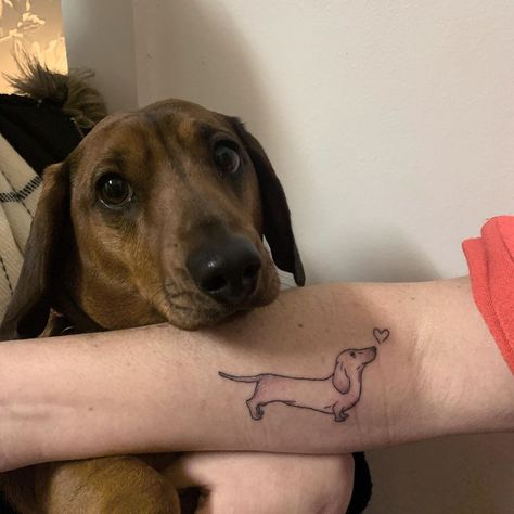 Dauchsands Tattoo, Daschund Tattoo, Dachshund Tattoo, Dog Died, Ink Inspiration, Family Dog, Hand Poke, Memorial Tattoos, Stick And Poke