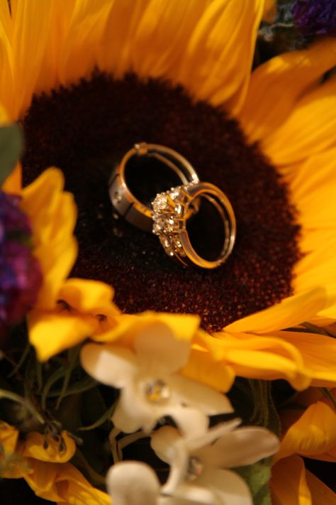 Sunflower Wedding Rings, Fall Sunflower Weddings, Sunflower Wedding Cake, Wedding Decorations Ideas, Dawn Marie, Sunflower Wedding Decorations, Rustic Sunflower Wedding, Sunflower Party, Wedding Color Pallet