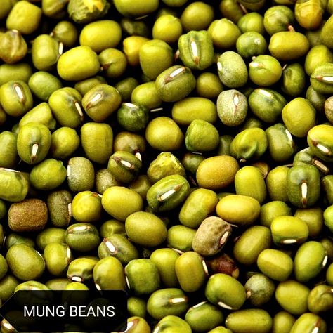 *MUNG BEANS #mung #mungbeans #mungbeansprouts FRIJOLITOS MUNG* #vegan #plantbased #veggie #meatless #groceries #veggieshop #veggiegroceries #veggiemarket #veganfood #metromercados Buy Online /// Compre En Línea https://wa.me/c/50660268558 Mung Bean, Gluten Free, Buy Online, Fruit, Canning, Twitter, Quick Saves, Instagram