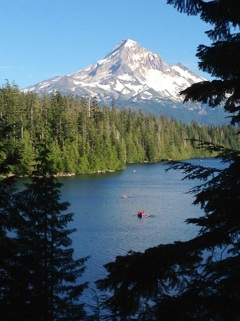 Mt hood at lost lake. Oregon Oregon Wallpaper, Lost Lake Oregon, Mt Hood Oregon, Mt Hood, Pretty Landscapes, What A Wonderful World, The Mountains Are Calling, After Life, Summer Dream