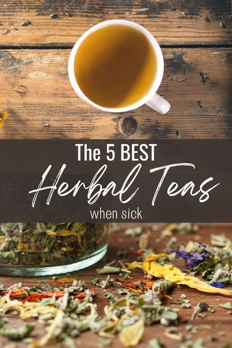 Pregnancy Safe Tea, Best Herbal Teas, Tea For Colds, Pregnancy Tea, Best Herbal Tea, Pregnancy Safe Products, Herbal Teas, Best Tea, Healthy Eating Habits