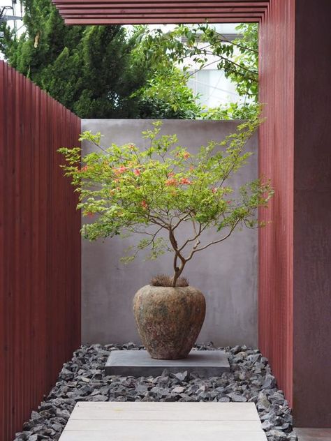 Florida Zen Garden, Tree Pots Outdoor, Zen Landscaping, Japanese Patio, Zen Garden Plants, Japandi Garden, Japanese Garden Plants, Modern Japanese Garden, Botanical Arrangements