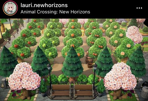 Acne Orchard Ideas, Acnh Vegetable Garden Layout Ideas, Acnh Tree Orchard Ideas, Acnh Fruit Tree Layout, Orchard Animal Crossing, Acnh Orchard Ideas, Anch Inspiration, Acnh Orchard, Calming Games