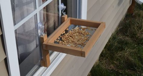 Window Bird Feeder Build A Window, Window Bird Feeder, Squirrel Feeder, Bird House Feeder, Bird House Kits, Bird Aviary, Diy Bird Feeder, Diy Birds, Bird Houses Diy