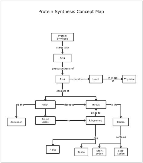 This Protein Synthesis Concept Map Template depicts the process of protein synthesis. A Protein Synthesis Concept Map Template defines transcription and translation, representing the transfer of genetic instructions from DNA to mRNA in the nucleus. Synthesis is known as combining two or more compounds to create something new. Concept maps can help students visualize the steps involved in any synthesis process they need to describe. Begin with this protein synthesis concept map template and modif Transcription And Translation Notes, Protein Synthesis Notes, Cell Biology Notes, Concept Map Template, Biology Poster, Concept Maps, Flow Map, Mind Map Template, Transcription And Translation