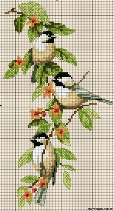 Simpul Makrame, Birds Sitting, Pola Kristik, Cross Stitch Bird, Pola Sulam, Cross Stitch Rose, Cross Stitch Animals, Cross Stitch Patterns Free, Bird Patterns